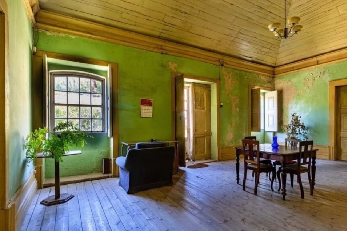 A room with green walls holding an armchair, a table with chairs, plants and a calendar
